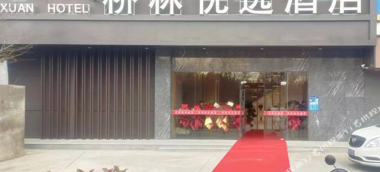 南京桥林优选酒店图片