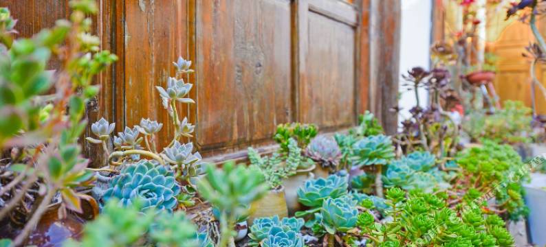 丽江韩阳驿站(丽江古城忠义市场店)图片