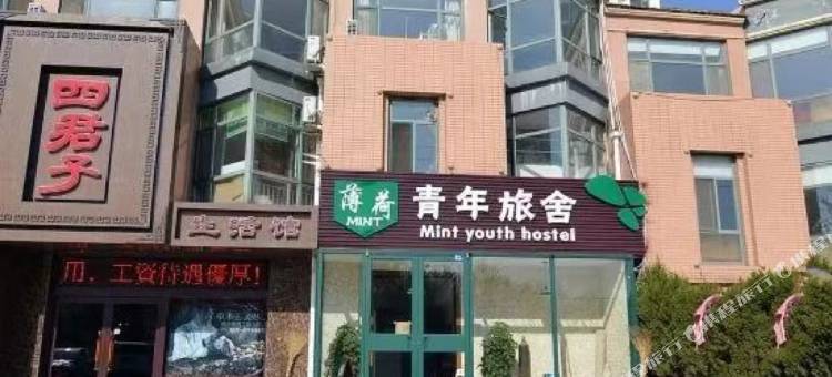 薄荷青年旅舍图片