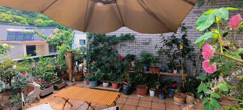 象山海景客栈图片