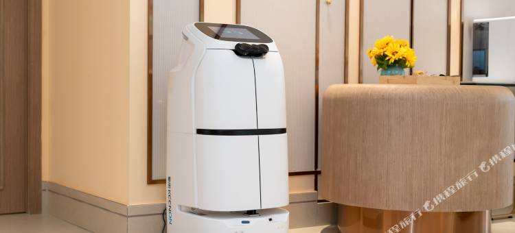 维也纳3好酒店(喀什麦盖提沙漠花园店)图片