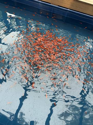 青谷度假酒店图片