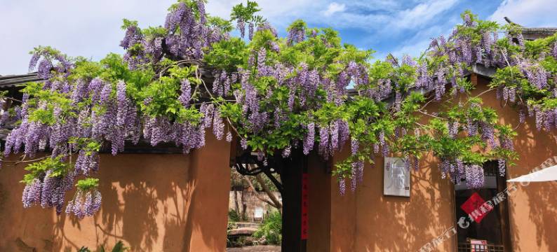 大理沙溪吾栖民宿图片