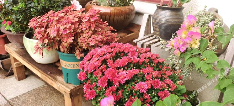 苏州第五季青舍图片