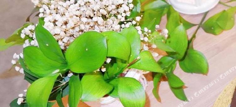 Favehotel Prabumulih图片