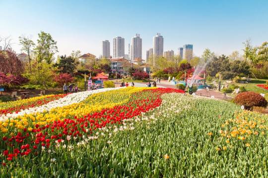 日照万平口20楼海景房公寓