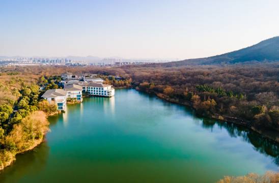 南京紫金山庄图片