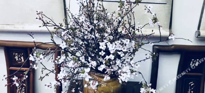 宏村临月楼徽派庭院民宿图片
