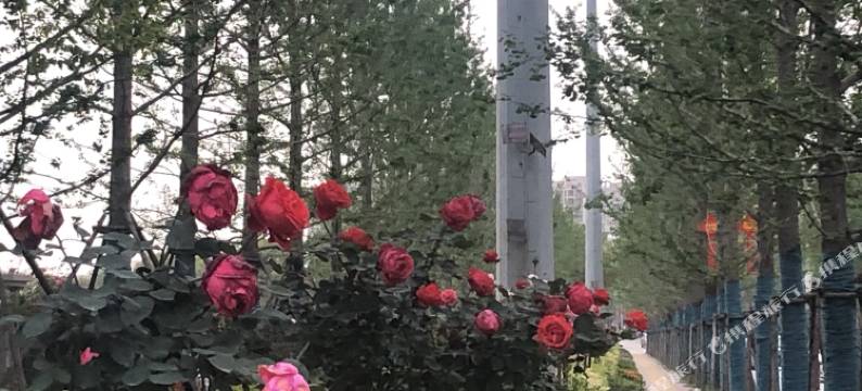 浮梁景城商务宾馆图片