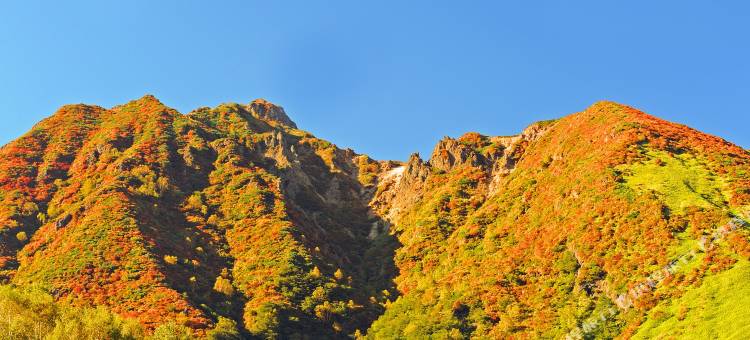 那須高雄温泉ロッジほったらかしの宿悠利(YU-FURI NASU-TAKAO ONSEN LODGE)图片