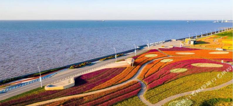 启东圆陀角明月里民宿(恒大威尼斯店)图片