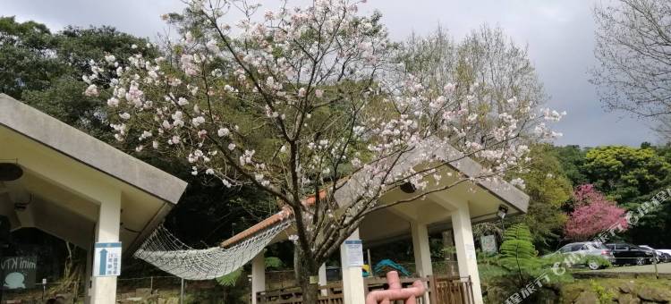 阳明温泉渡假村图片