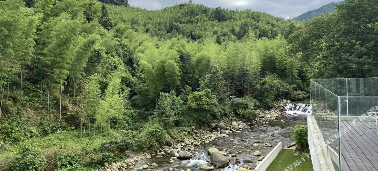 兴安有樹民宿图片