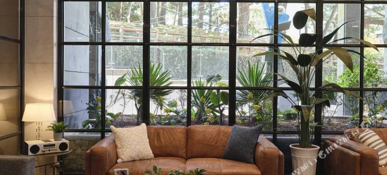 蓝岛酒店(The Island Blue Hotel)图片