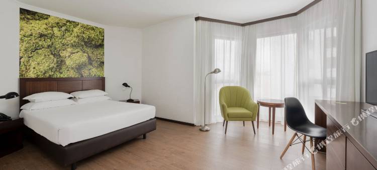 阿维尼达整洁酒店(Neat Hotel Avenida)图片