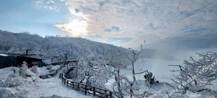 山行之约·云上草原安吉紫竹山庄(井空里大峡谷店)图片