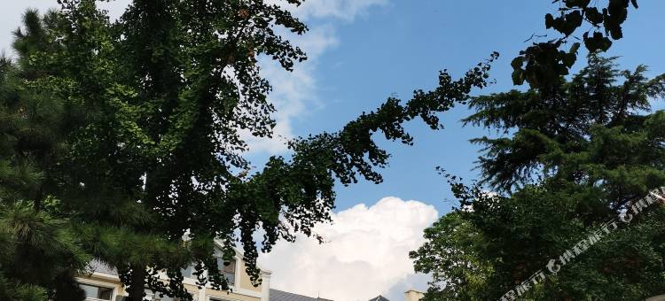 凯山艺墅海景度假民宿(崂山区店)图片