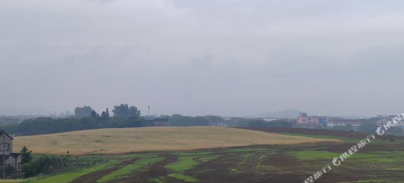 太湖东旭酒店图片