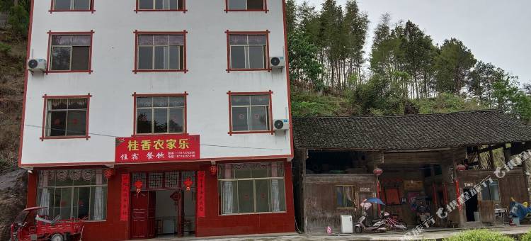 桂香农家乐图片