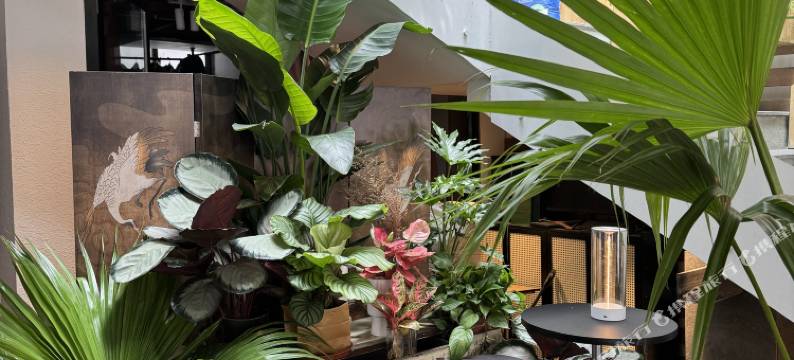 大理好事屋民宿(古城人民路店)图片