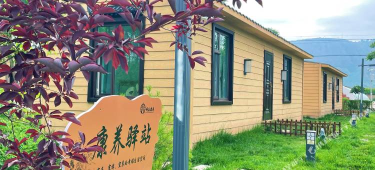 奇正康养民宿图片
