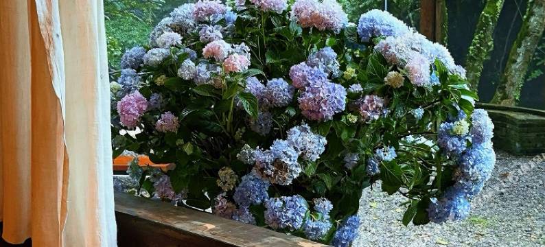 梵净山森隐空间图片