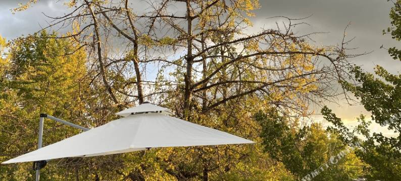 腾冲银杏村伊珍.苏杭秋温泉客栈图片