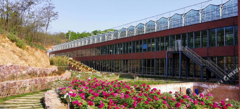 伊川建业绿色基地图片