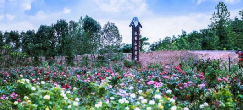 芜湖县珩琅山玫瑰谷民宿图片
