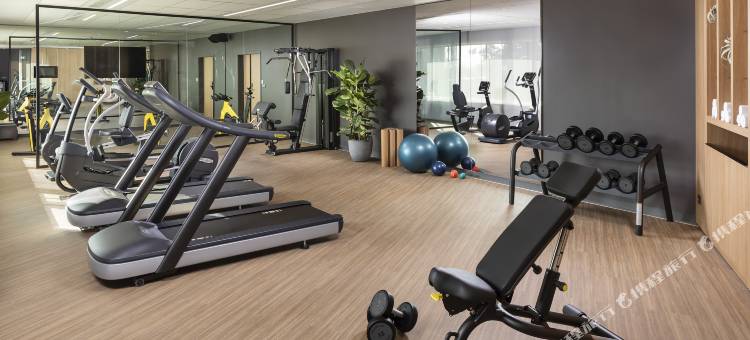 巴黎戴高乐机场怡思得酒店(INNSiDE by Meliá Paris Charles de Gaulle Airport)图片