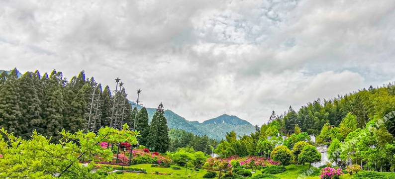 井冈山望山阁图片
