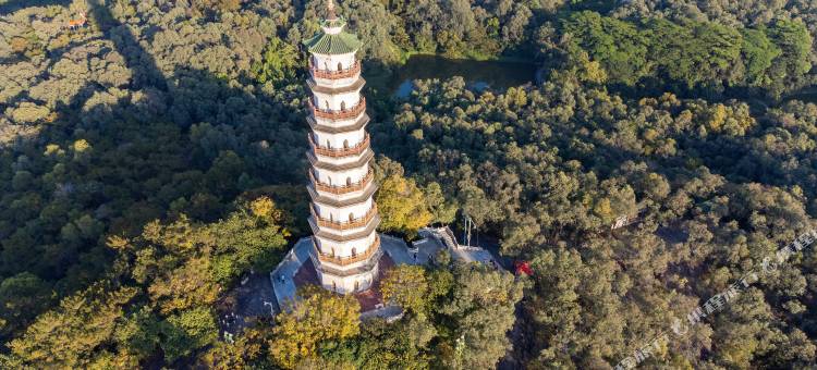 壹号优客酒店(东城桑园莞城科技园店)图片