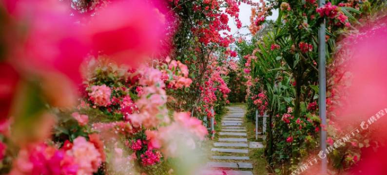 乐东海屿宿民宿图片