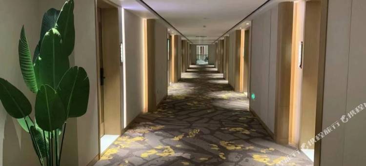 星辰酒店(深圳华强路地铁站中心公园店)图片