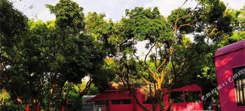 广州乐途四季房车营地(蒙花布村店)图片