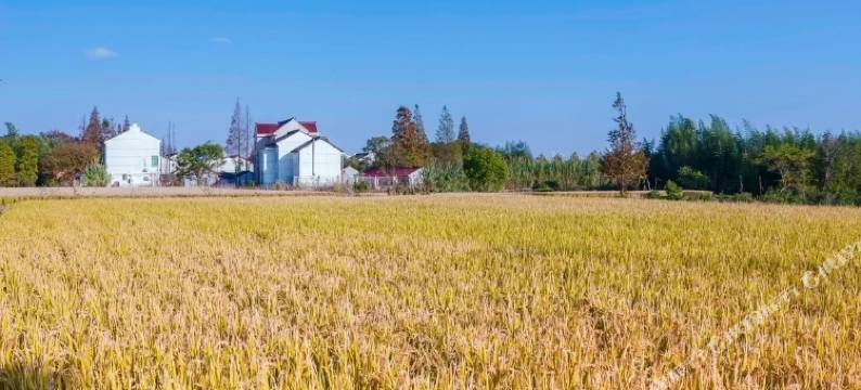 上海小小周民宿图片
