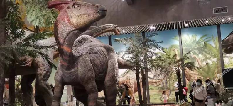 燕蜗公寓(长沙省政府店)图片