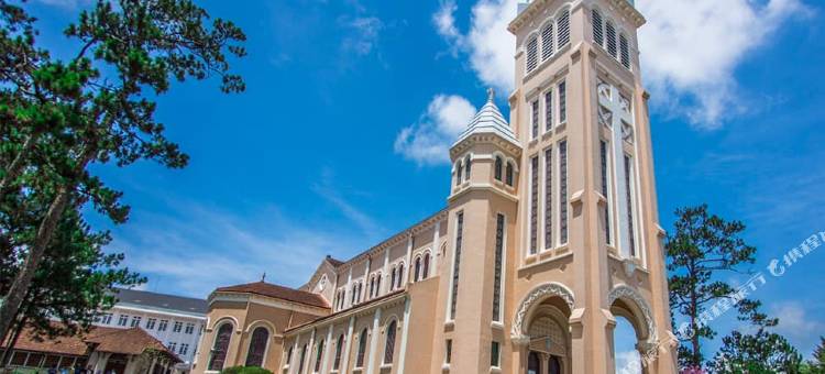 OYO 1217草原酒店(OYO 1217 Thao Nguyen Hotel)图片