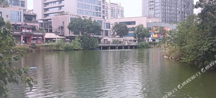 财富芯居图片