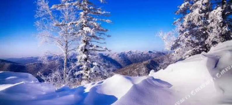 樊小青民宿(二浪河景区店)图片