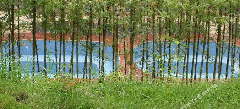 小森林度假酒店图片