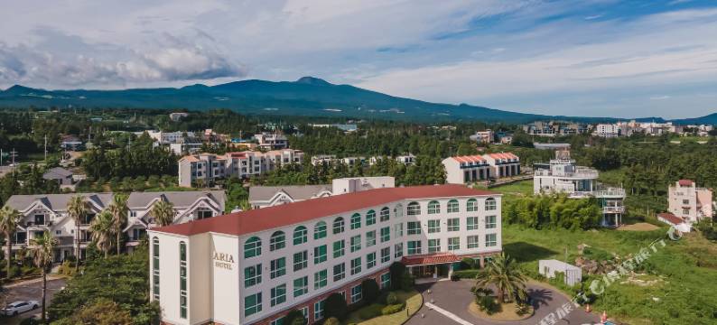 济州阿里亚酒店(Aria Hotel)图片