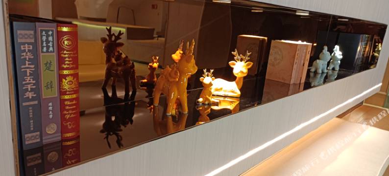 深圳蛇口四海地铁站RANY芮汐酒店图片