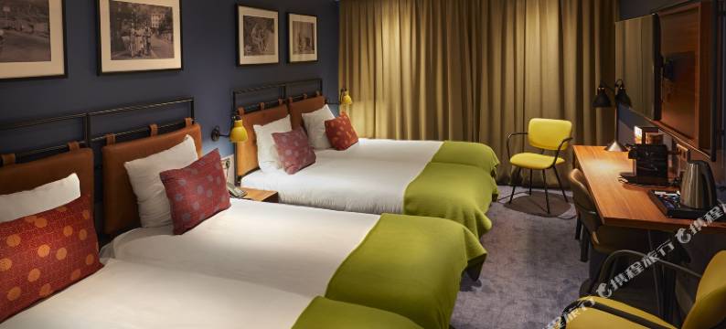 狮子多尔酒店(Hotel Lion d'Or)图片