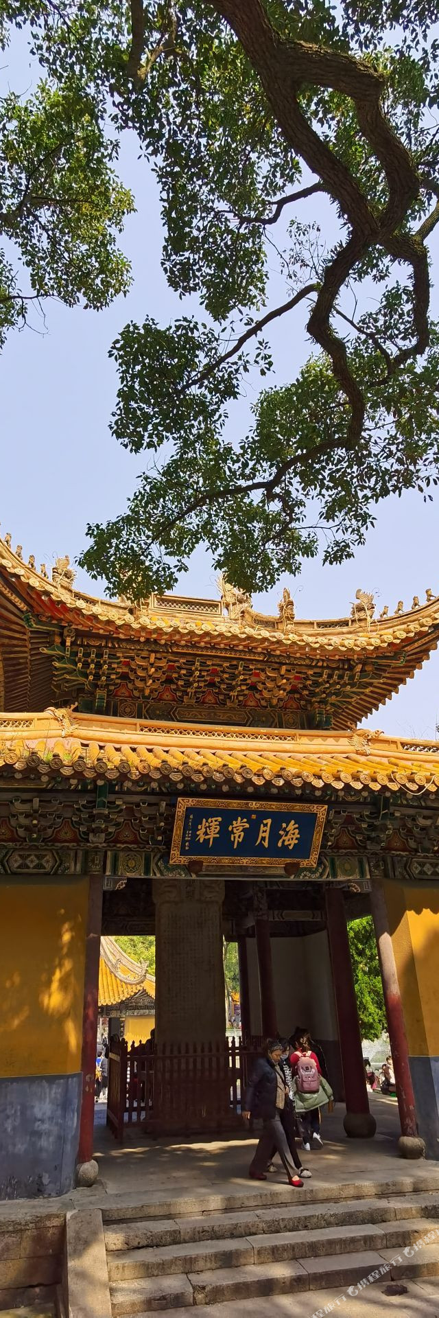 探店|中信普陀大酒店_十来年了,每次从这个酒店路过都在想,下次