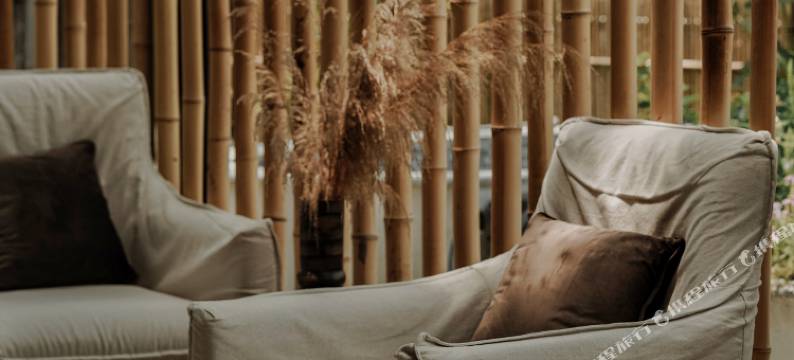 饮岚·白舍图片