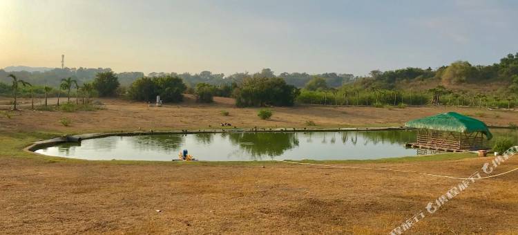 Safari酒店及别墅由Cocotel提供支持(Safari Hotel and Villas powered by Cocotel)图片