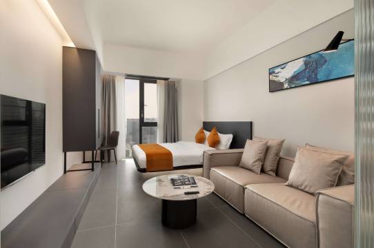 成都大鱼·Alex·设计师民宿(成都南站店)