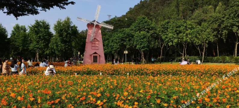 白月川公寓(顺德欢乐海岸Plus店)图片