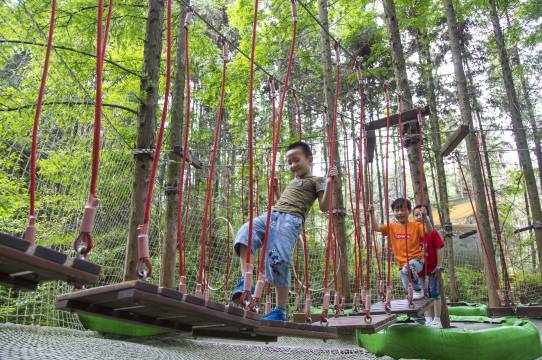 齐云山自由家·树屋世界图片